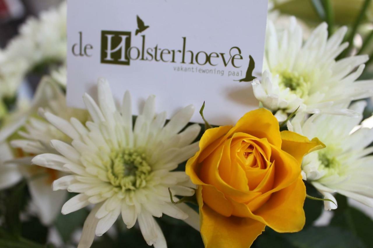 De Holsterhoeve Beringen Exteriér fotografie